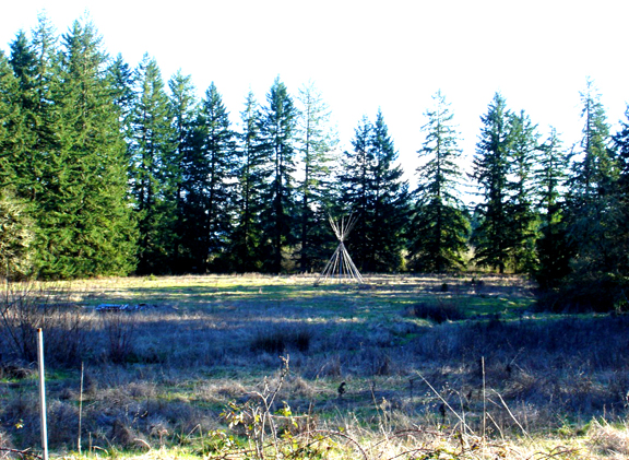 land-meadow-teepee2.jpg